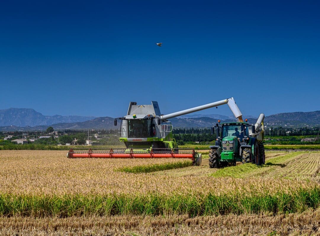 Recoleció amb tractor de l'arros de Amposta i Tortosa
