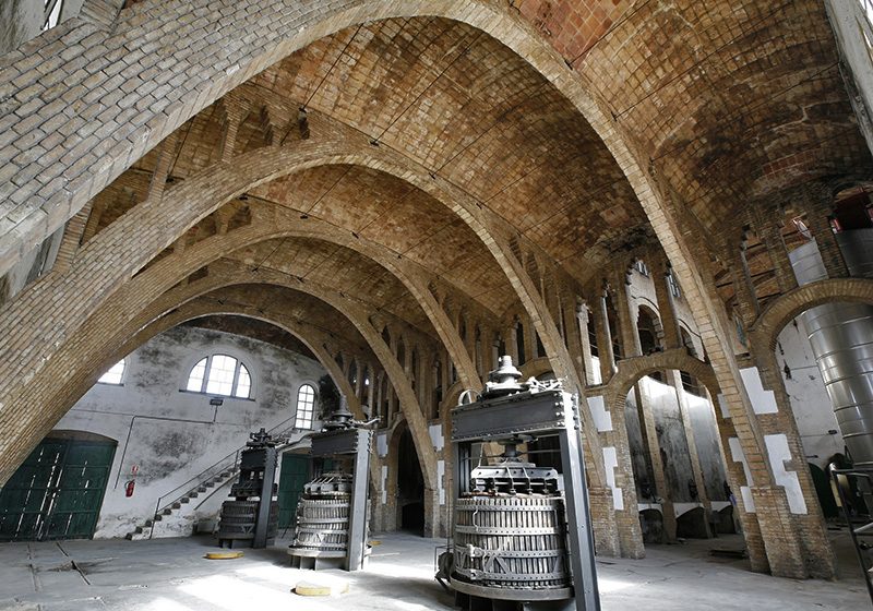 Celler de Gandesa a la terra alta amb productes de rebost català i els lots de nadal